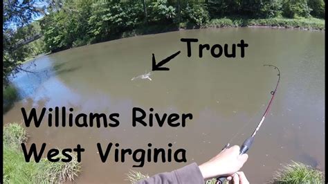 Date Fished: 10/13/2009. . Williams river wv trout stocking
